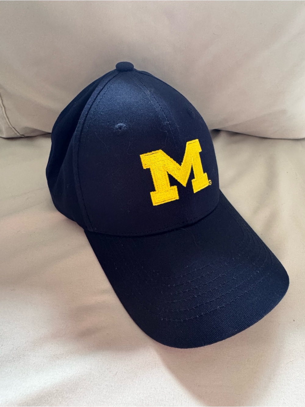 **RARE** University of Michigan x DTE Snapback • Navy/Yellow